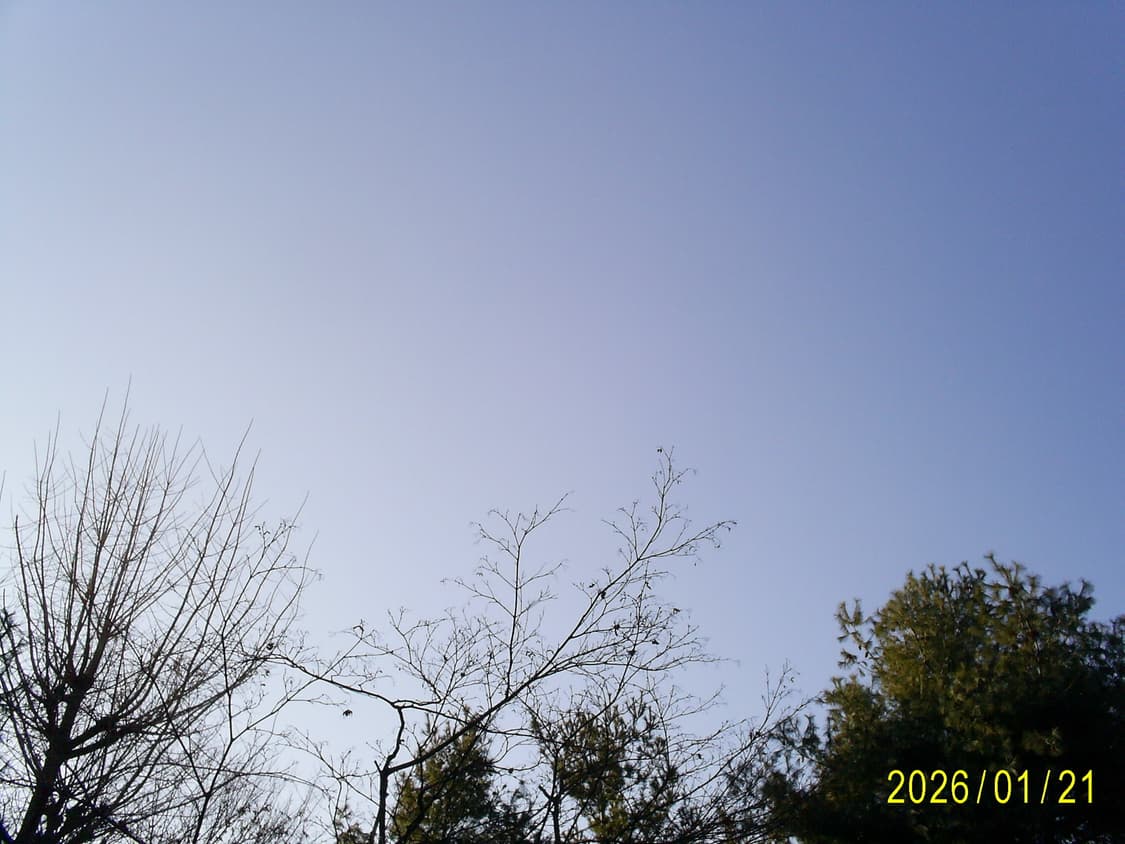 삼성케녹스 D402디카 상품이미지8