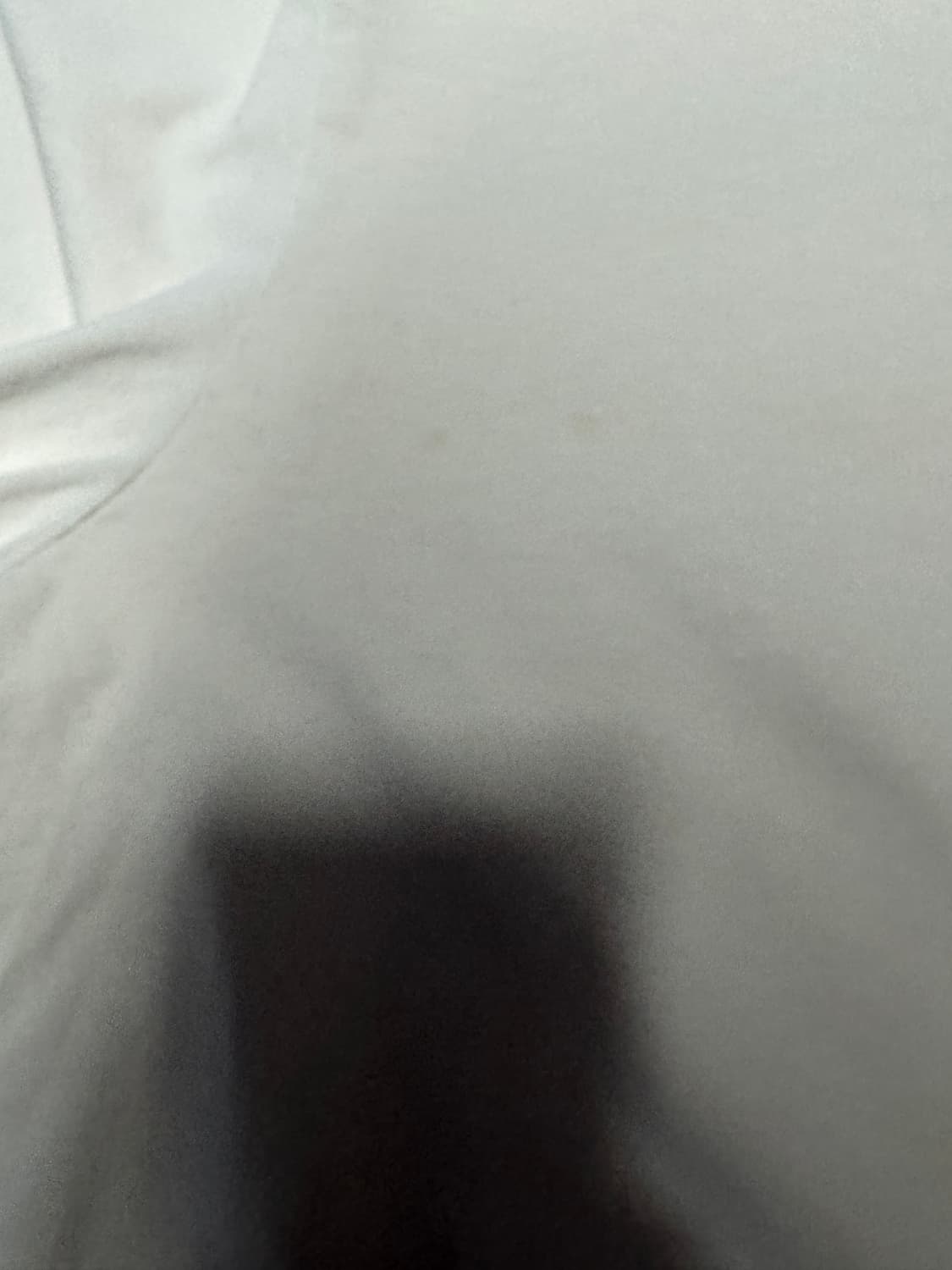 노스페이스 뒷 프린팅 레터링 반팔 티셔츠 XL ~ 2XL 베이지 상품이미지6