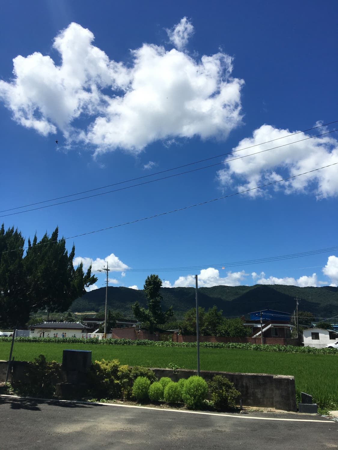 캐논 익서스 107 블루색상 판매 (작례🫶🏻) 상품이미지5