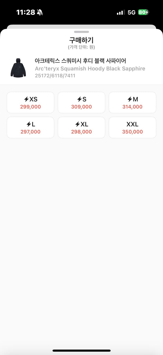 아크테릭스 스쿼미시 후디 블랙 사파이어 상품이미지4