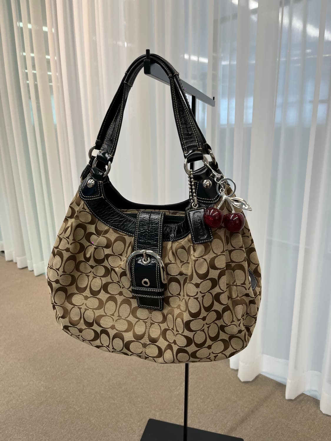 Coach Big Basic Hobo Bag 상품이미지1