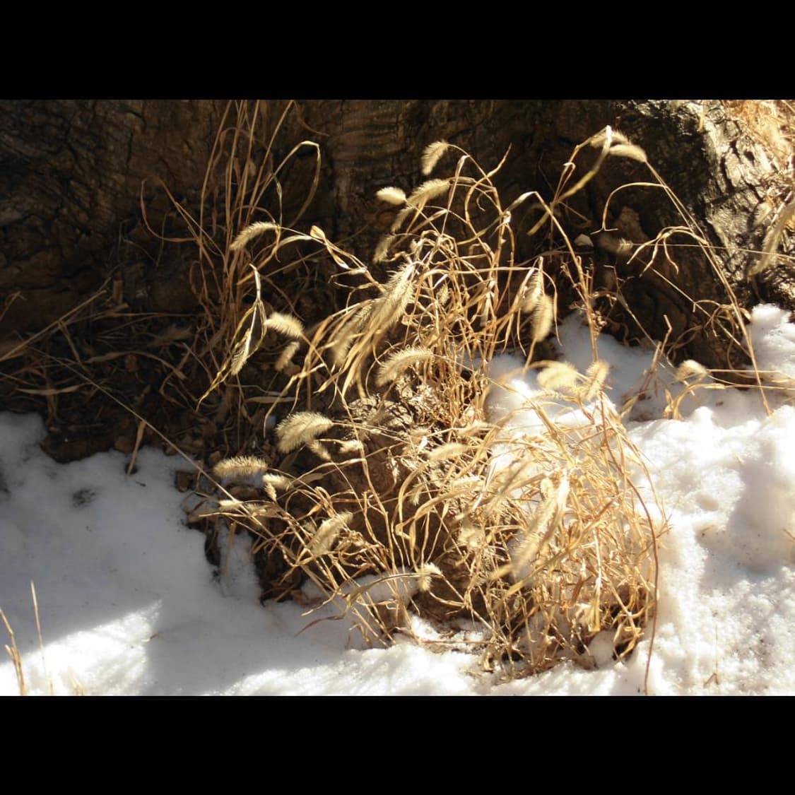 작례⭕️ 카시오 엑슬림 EX0N10 상품이미지4