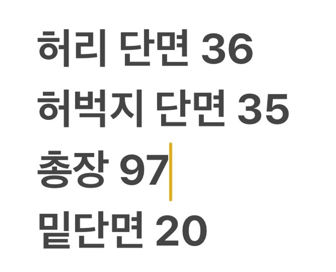 [정품/L] 디스이즈네버댓 카고 바지 회색 b18 상품이미지7