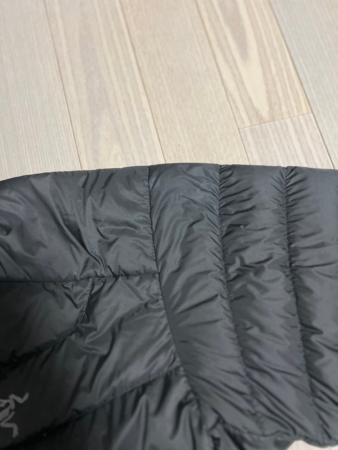 아크테릭스 세륨 후디 m black 상품이미지2