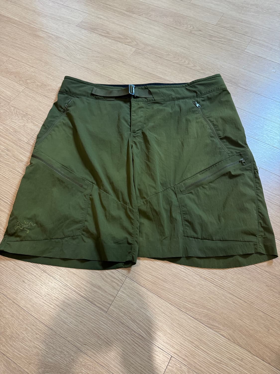 아크테릭스 팰리세이드 트랙킹 숏팬츠  상품이미지1