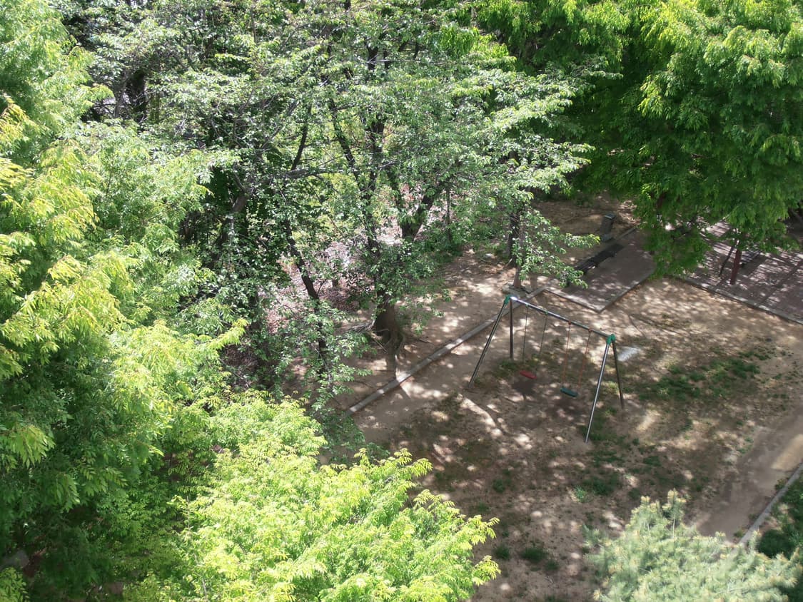 올림푸스 VR-330 디카//작례O 상품이미지7