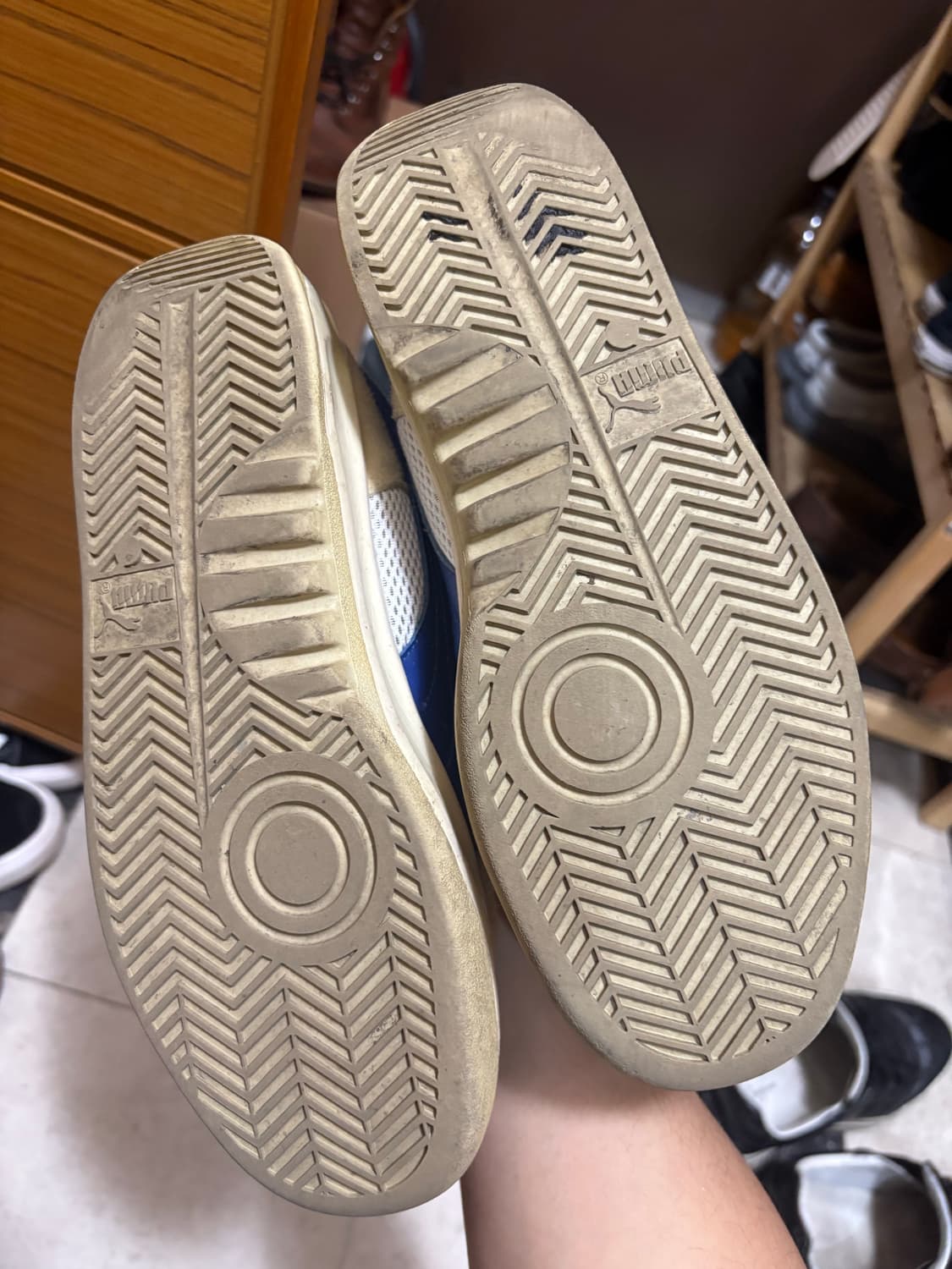 푸마 아더에러 캘리포니아 상품이미지2