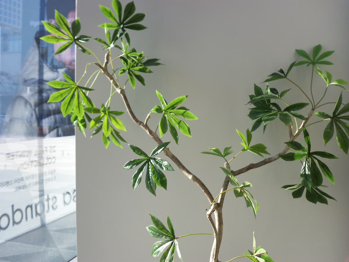 코닥 이지쉐어 Kodak EasyShare C142 그린 디카 상품이미지9