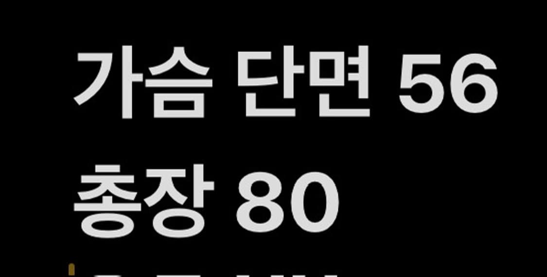 [ XL ] 롯데 자이언츠 반팔 유니폼 b16 상품이미지6