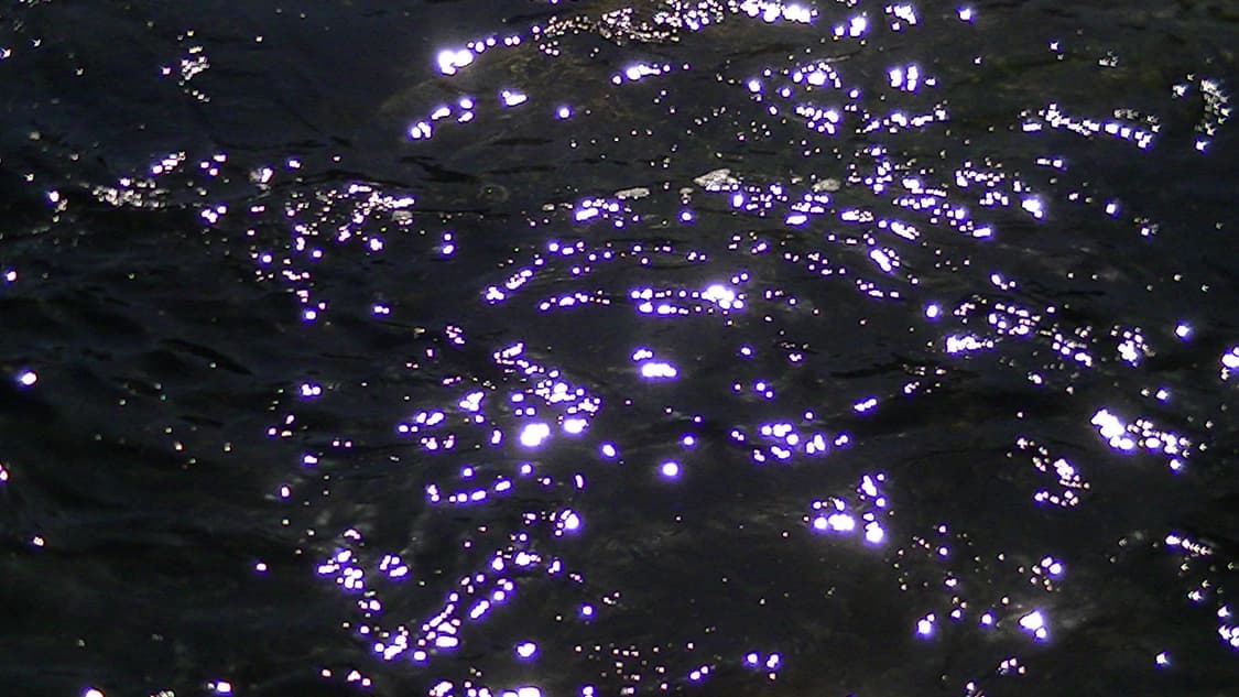 특가 / 작례 0 / 인기 기종 / jvc hm33 빈티지 카메라 실버 상품이미지5