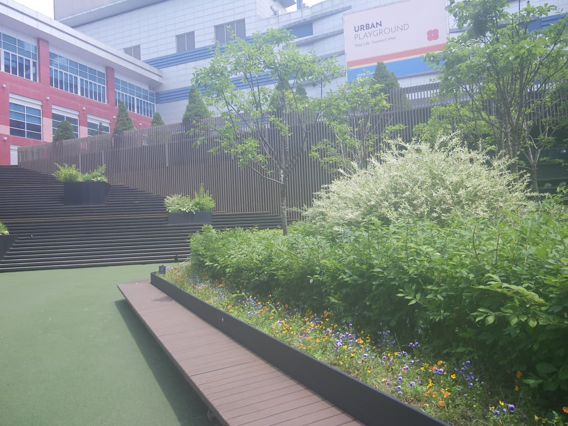 작례참고🌿  펜탁스 옵티오 P70 블루  상품이미지6
