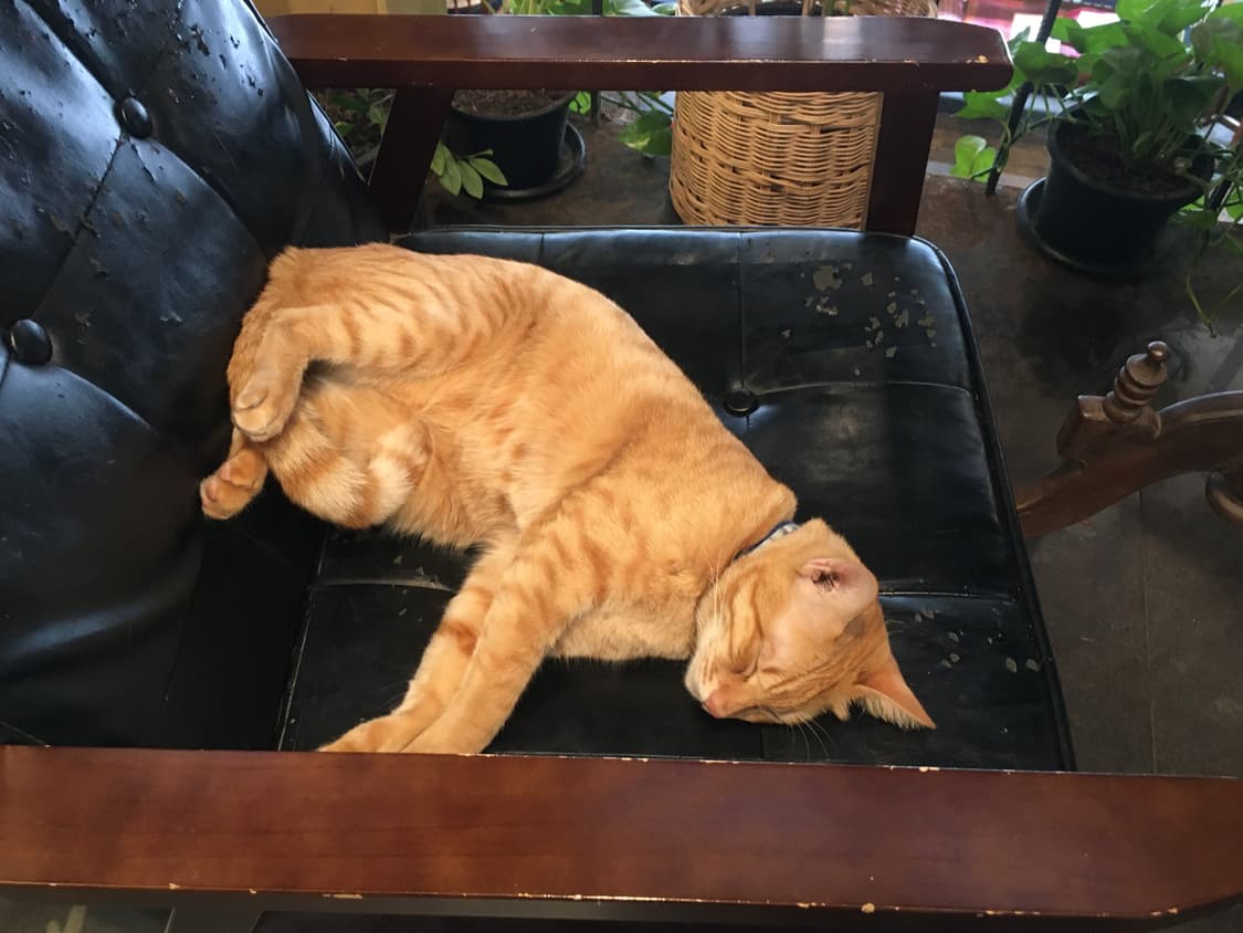 개인결제창 상품이미지1