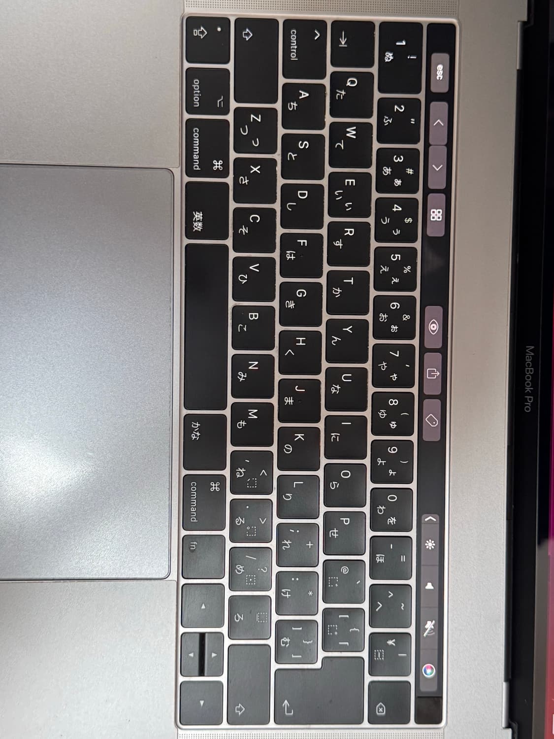 2017 맥북 프로 터치바 15인치 CTO 상품이미지3