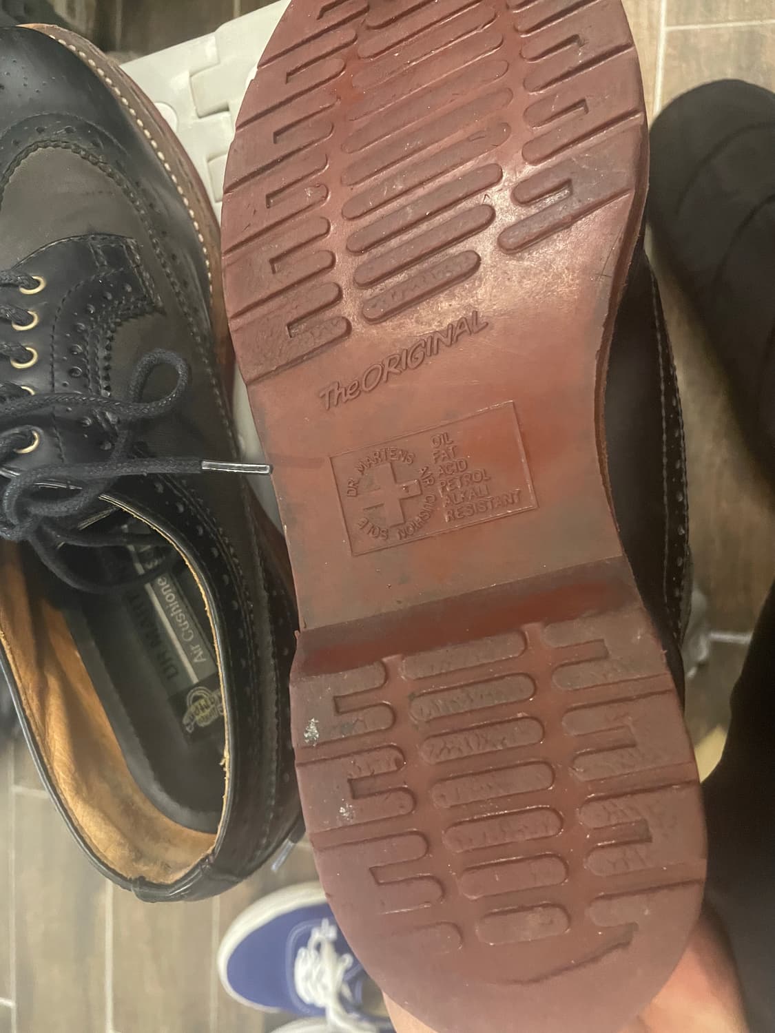 닥터마틴 윙팁 260 상품이미지5