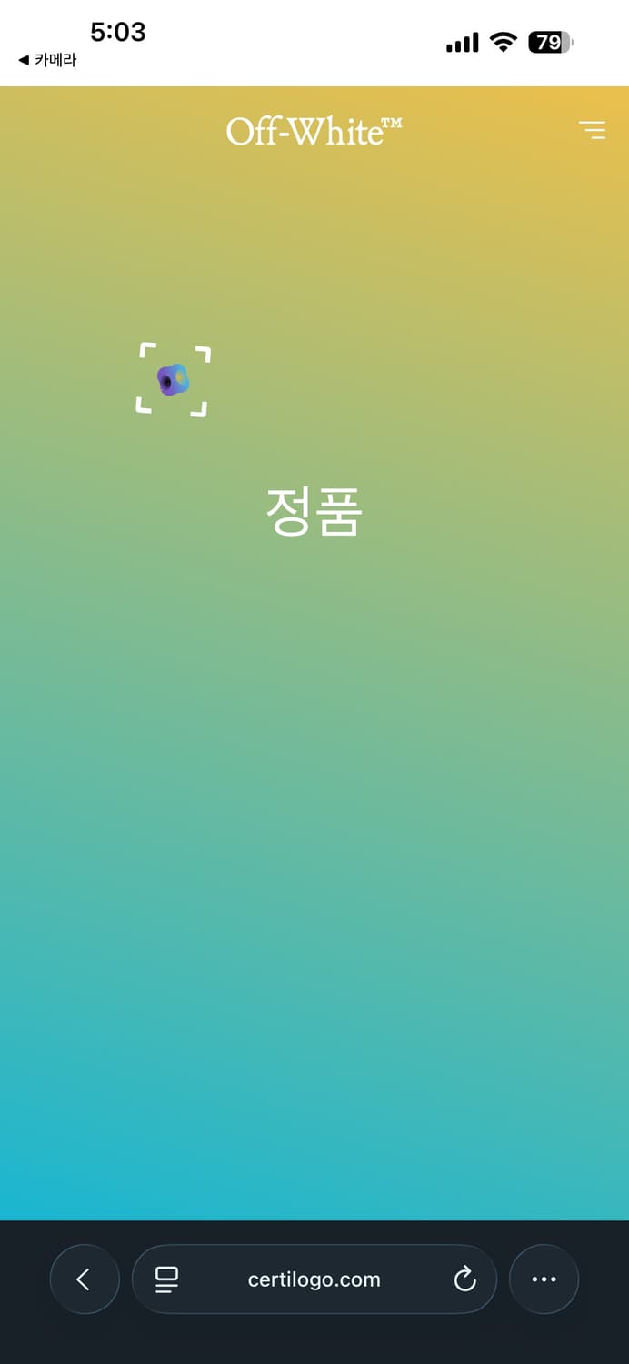 오프화이트 카라바조 후드티 상품이미지5