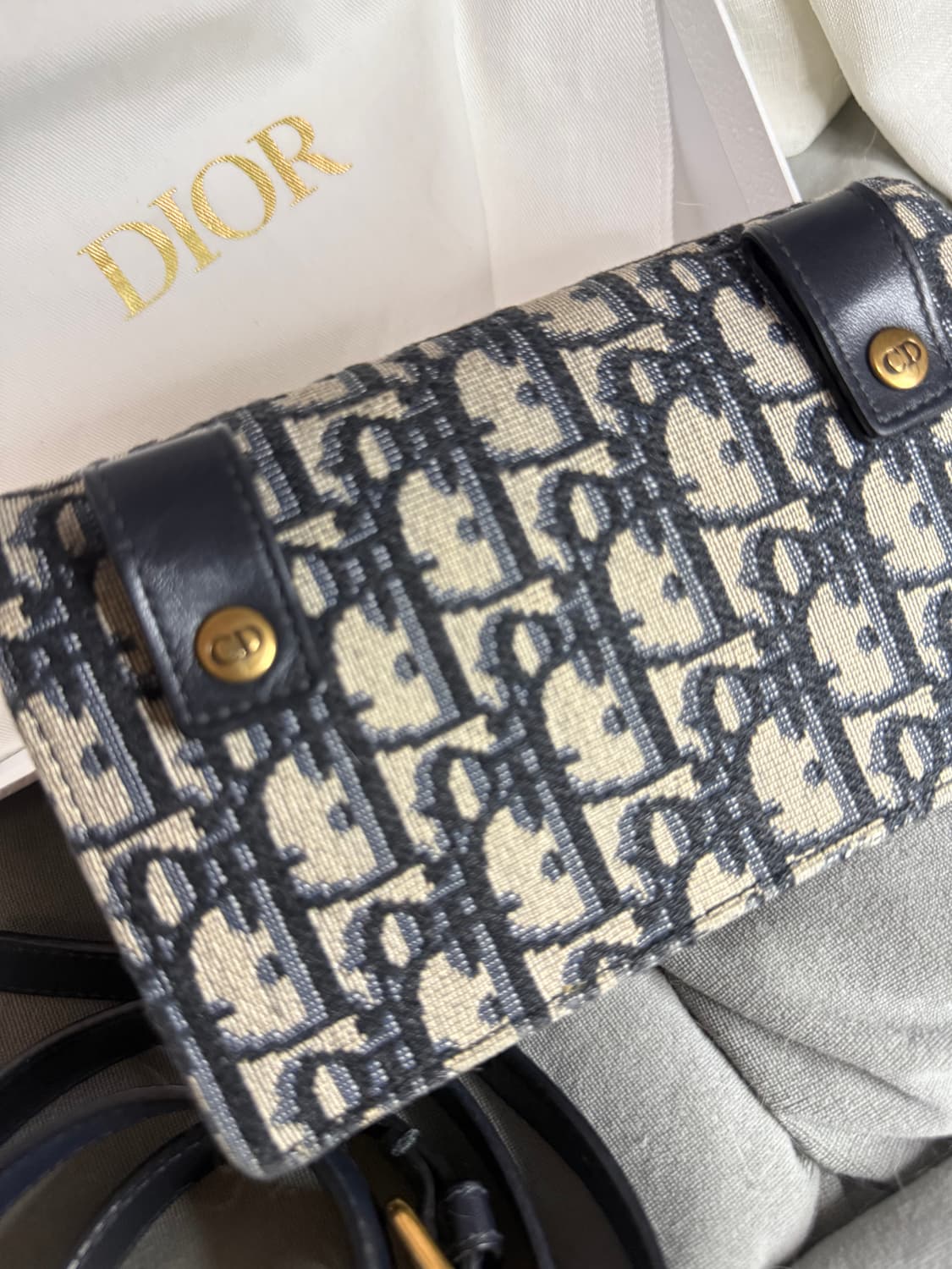 디올 오블리크 새들 벨트 파우치 상품이미지3