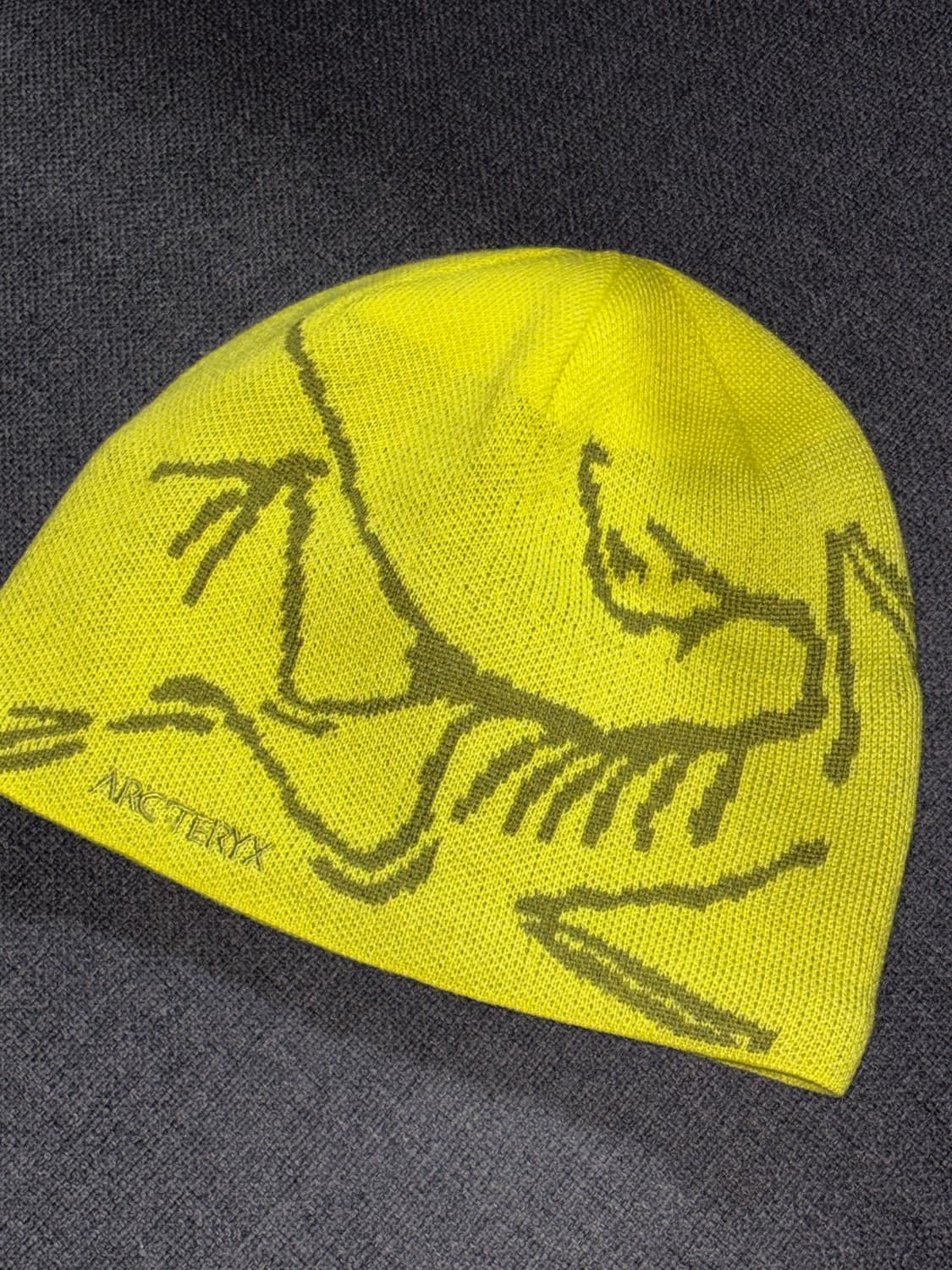 아크테릭스 비니 버드 헤드 토크 유포리아 올리브 모스 상품이미지1