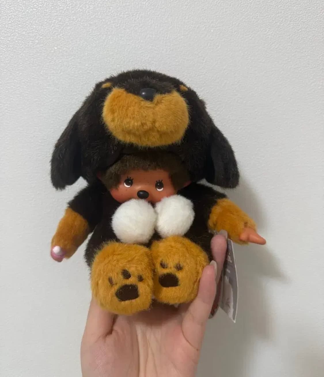 몬치치 강아지 닥스훈트 상품이미지1