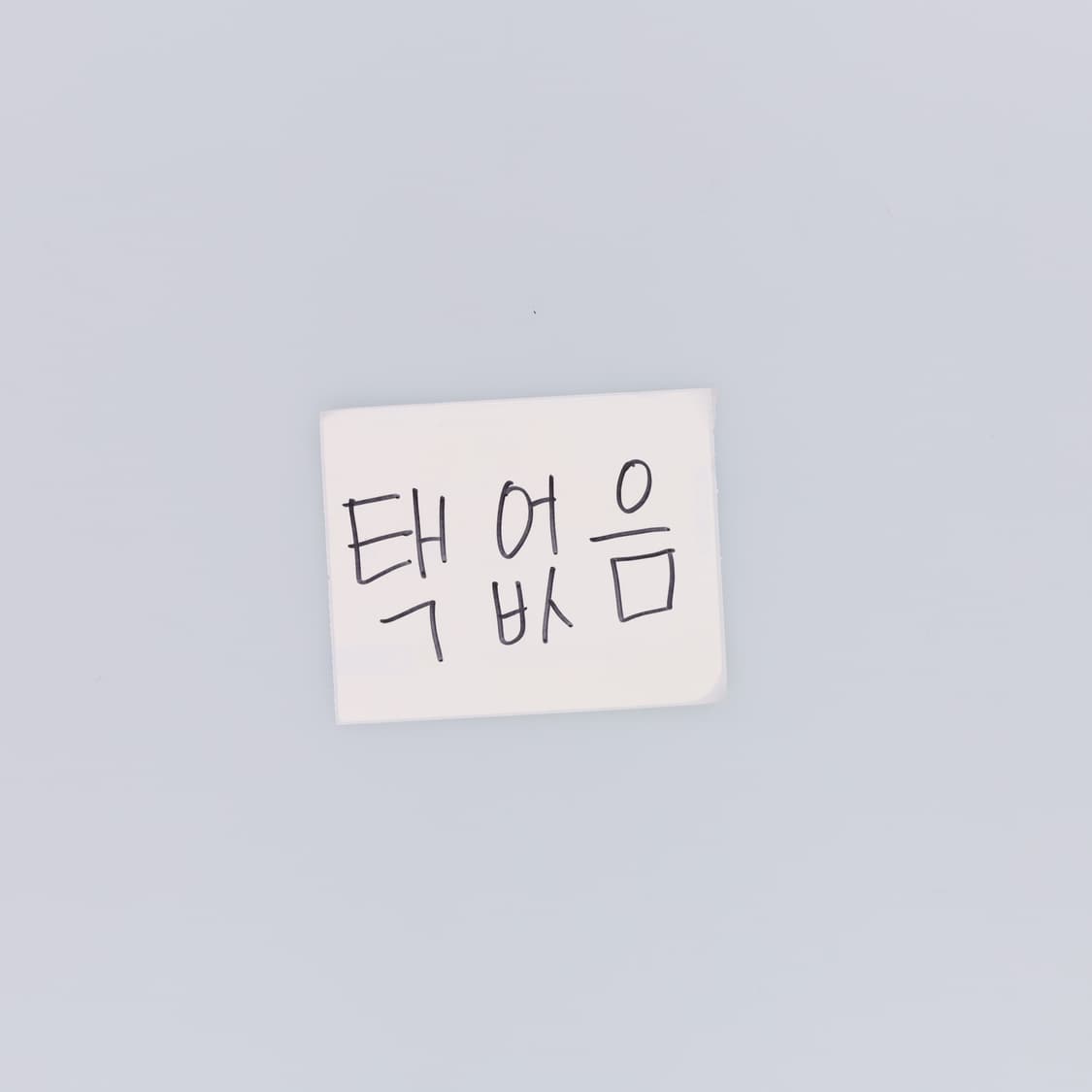 4XL MLB 멀티래빗 반팔티 0304H1 상품이미지5