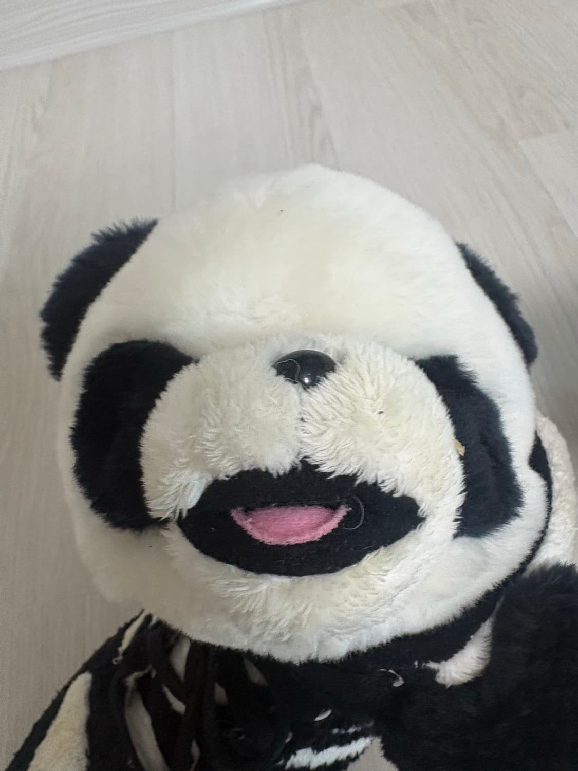 제레미스캇 베어 상품이미지5