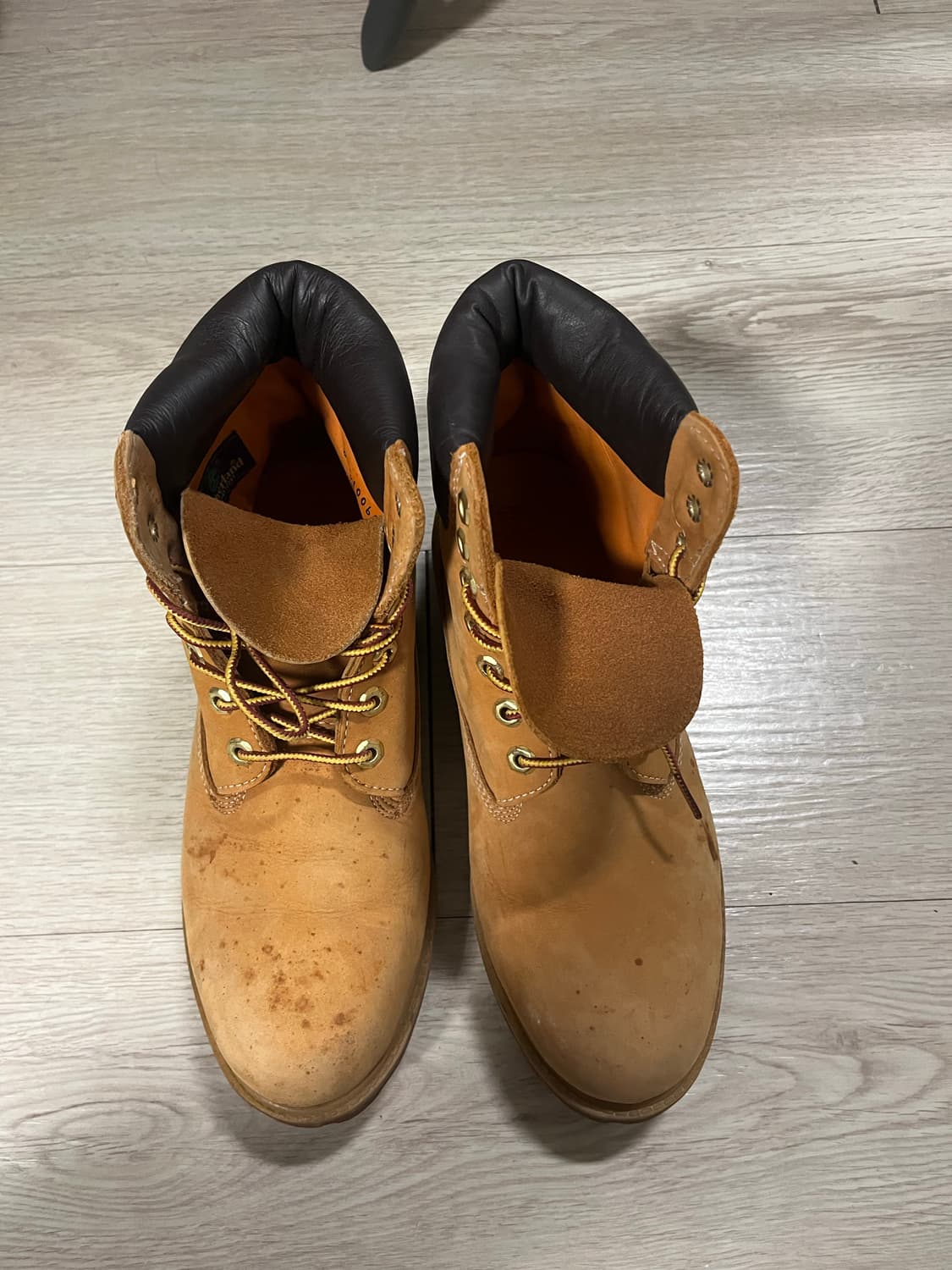 팀버랜드 6인치 260 상품이미지2