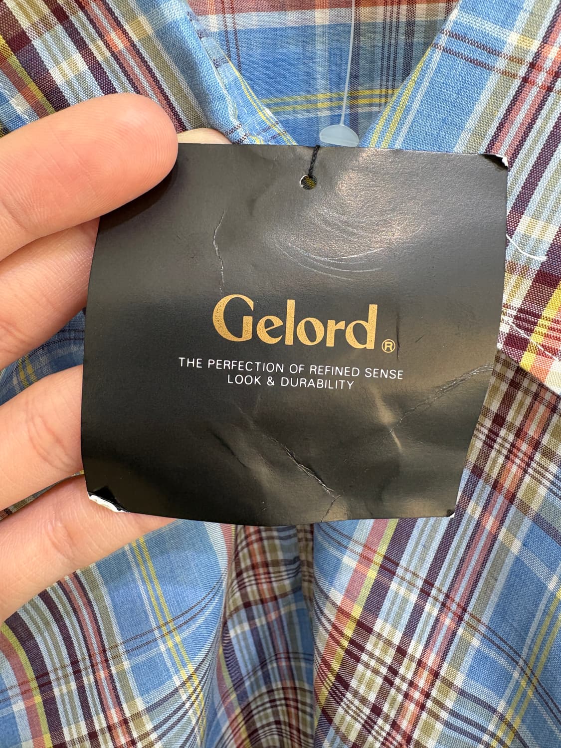 GELORD 반팔 셔츠 상품이미지9