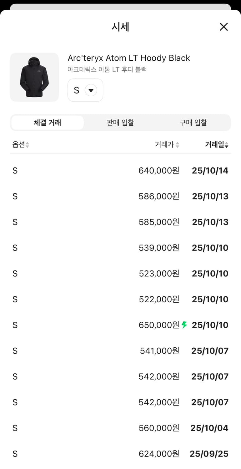 아크테릭스 아톰 LT 남자 s 상품이미지6