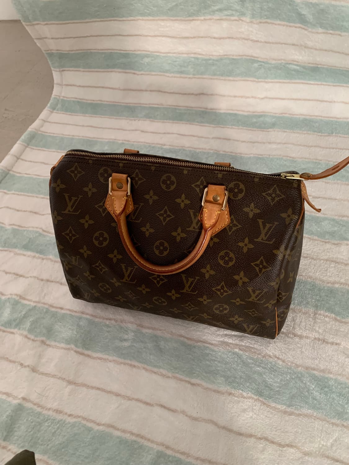 루이비통 스피디 30 상품이미지3