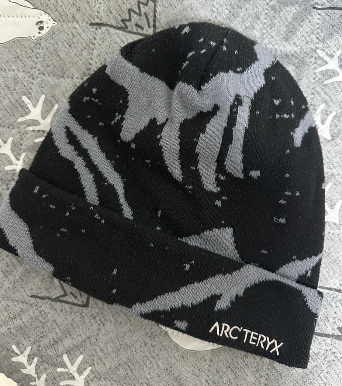 아크테릭스 그로토 토크 비니 상품이미지1