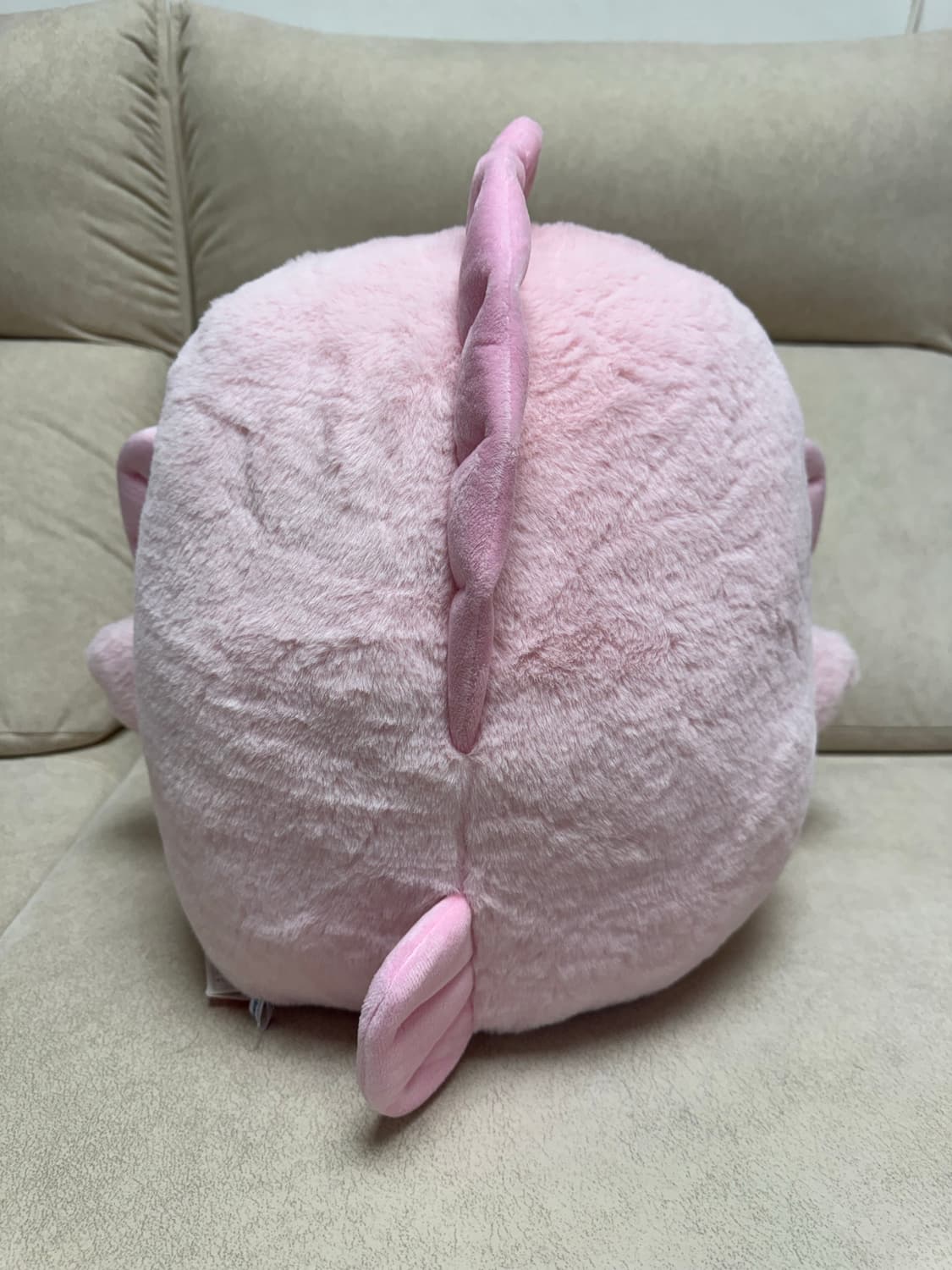 핑크한교동 상품이미지6