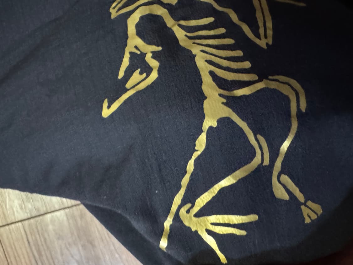 아크테릭스 빔즈 아톰 L 상품이미지4