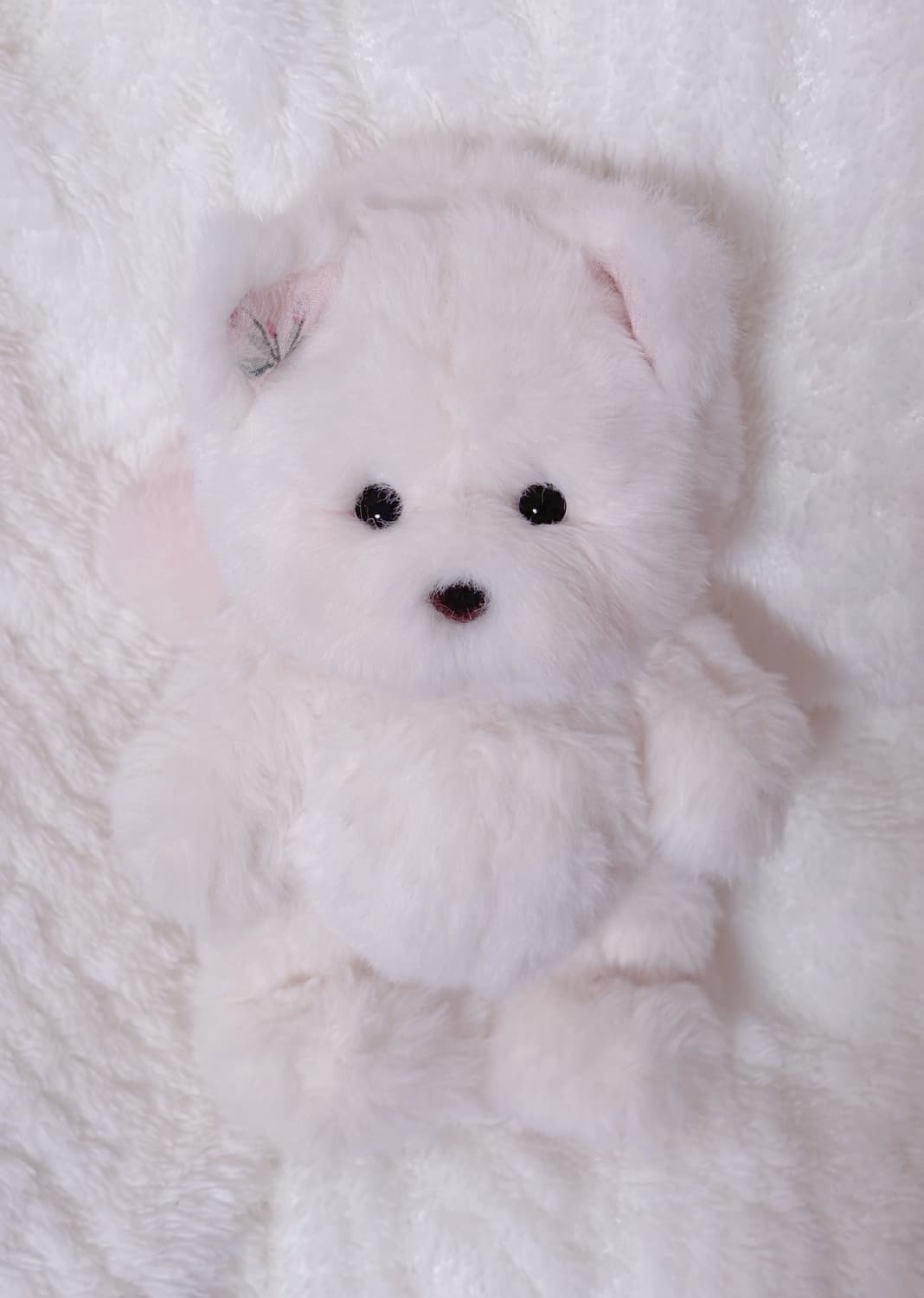 테디테일즈 리메이크 북극여우 상품이미지2