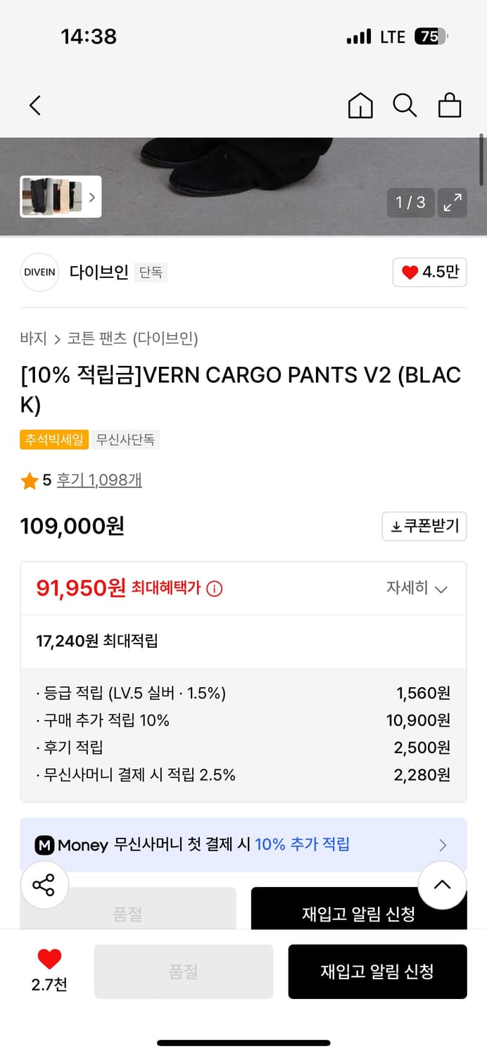 다이브인 카고팬츠 1사이즈 상품이미지2