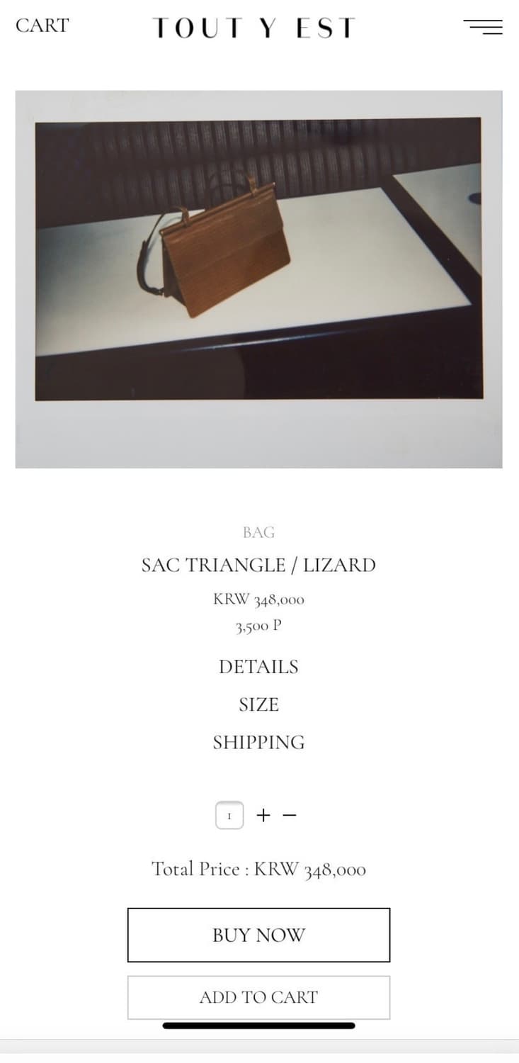 투티에 삭 트라이앵글 리자드 상품이미지7