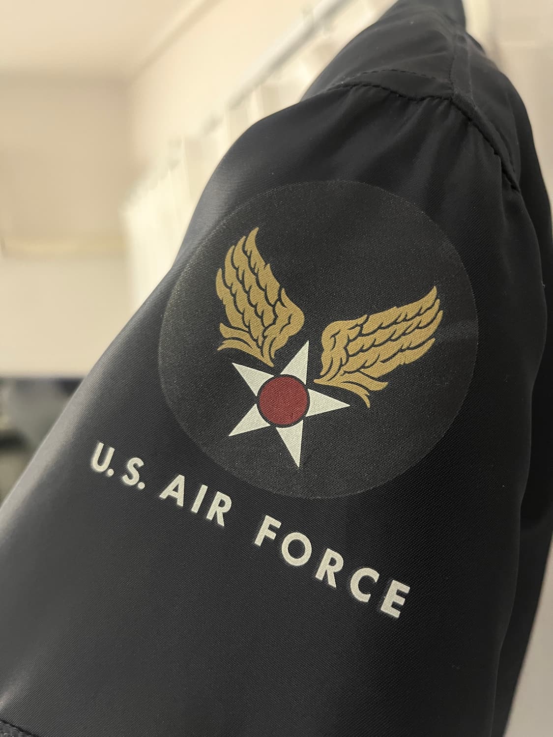 버즈릭슨 B-15C 플라이트 자켓 (40) 상품이미지5