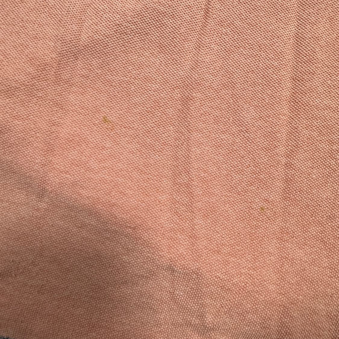 ✨ (바배) 폴로 랄프로렌 여성 카라 반팔티 상품이미지5