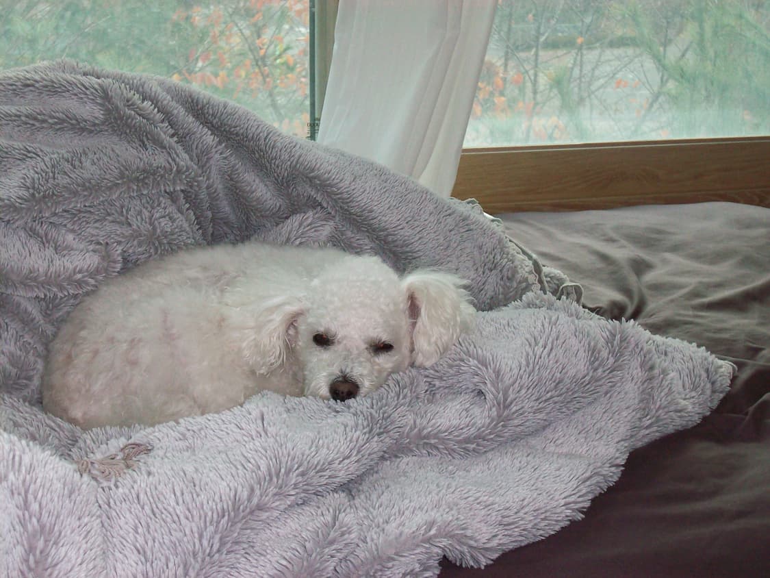 코닥 이지쉐어 M753 빈티지 디지털카메라 상품이미지10