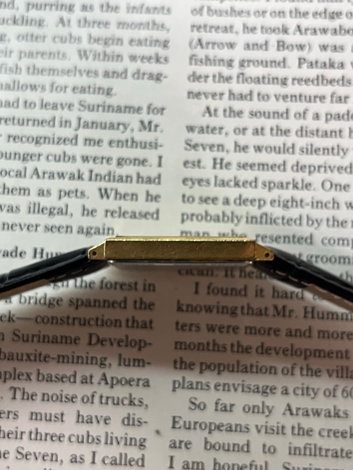 세이코 탱크 쿼츠 2C21-5180   상품이미지5