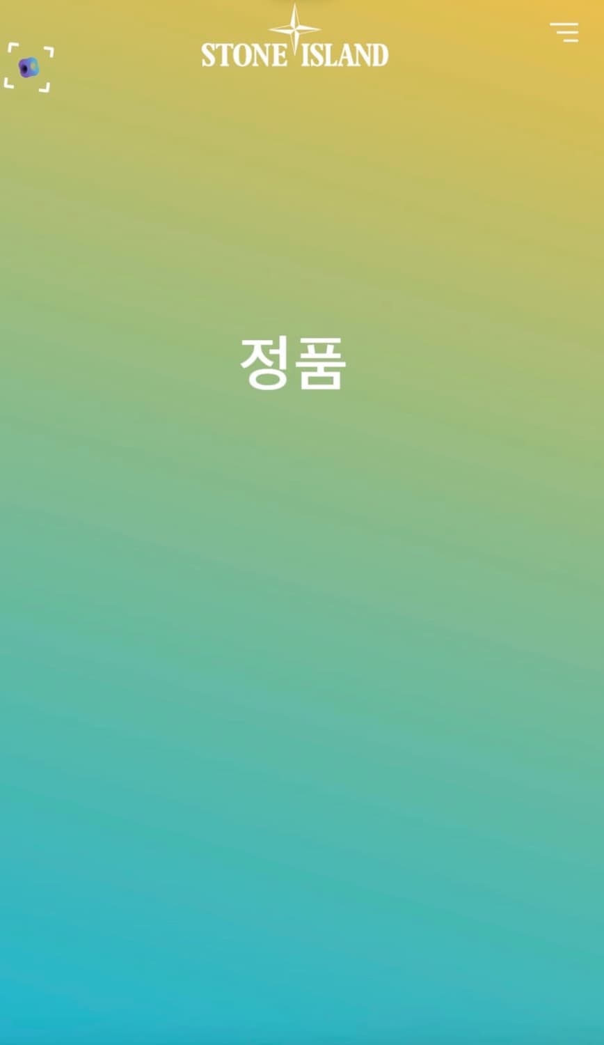 정품 스톤아일랜드 리플렉티브 빈티지 반팔티 상품이미지3