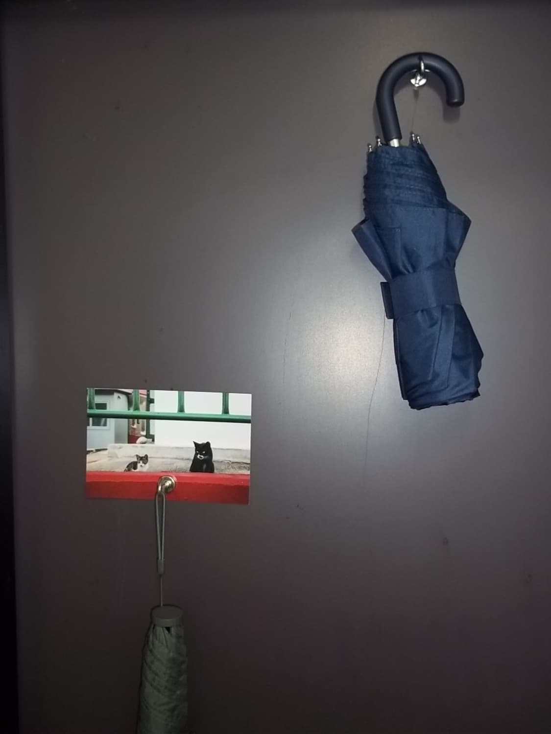 코닥 이지쉐어 m530 상품이미지5