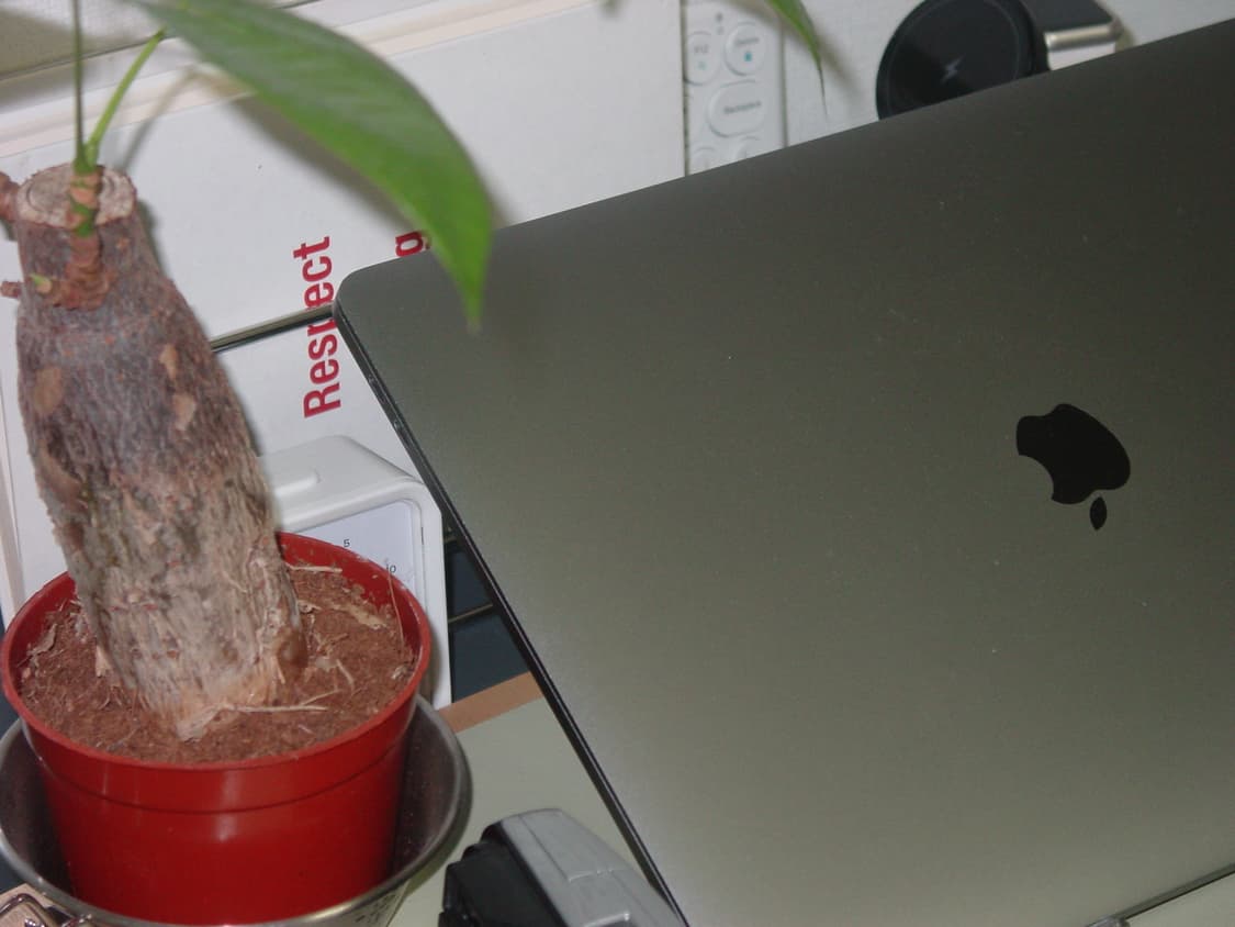 올림푸스 카메디아 D460 ZOOM 빈티지 디지털카메라 상품이미지7