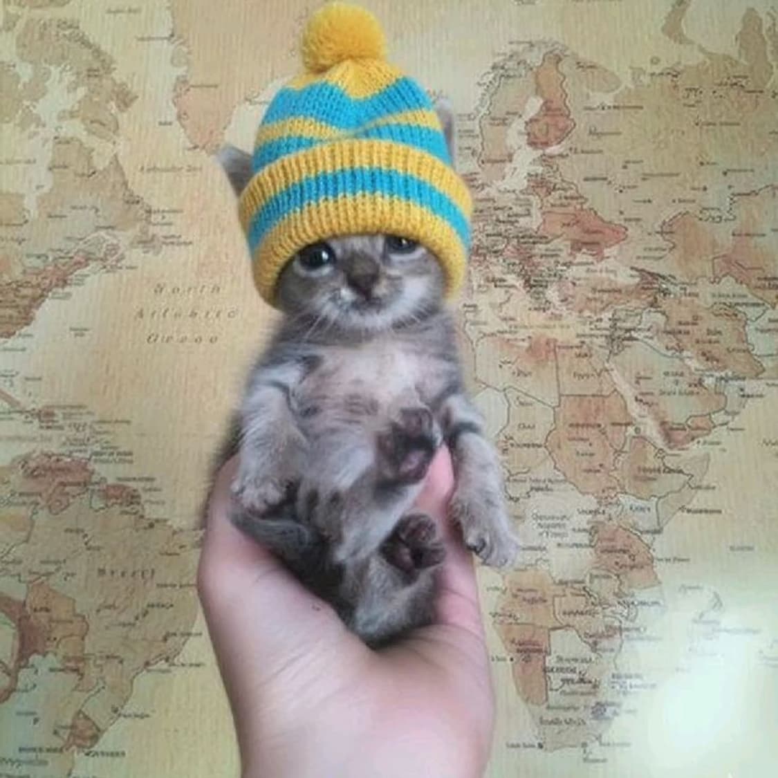 합배송 상품이미지1