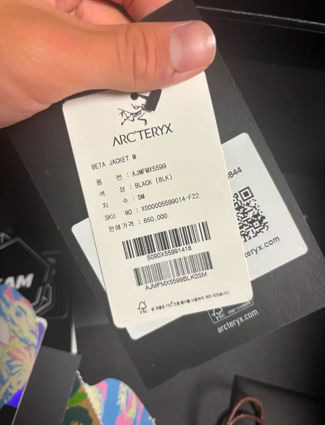 아크테릭스 베타 바람막이 상품이미지5