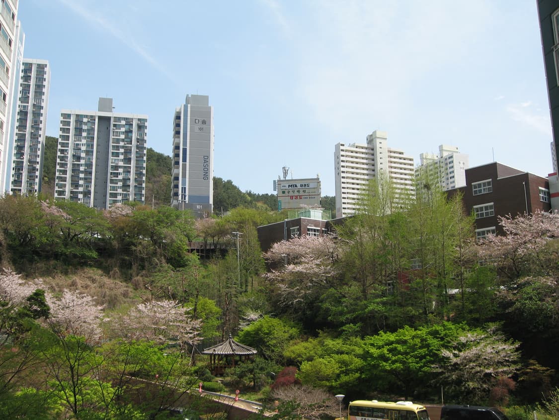 (예약)캐논 ixy700 디카 (익서스750) 상품이미지10