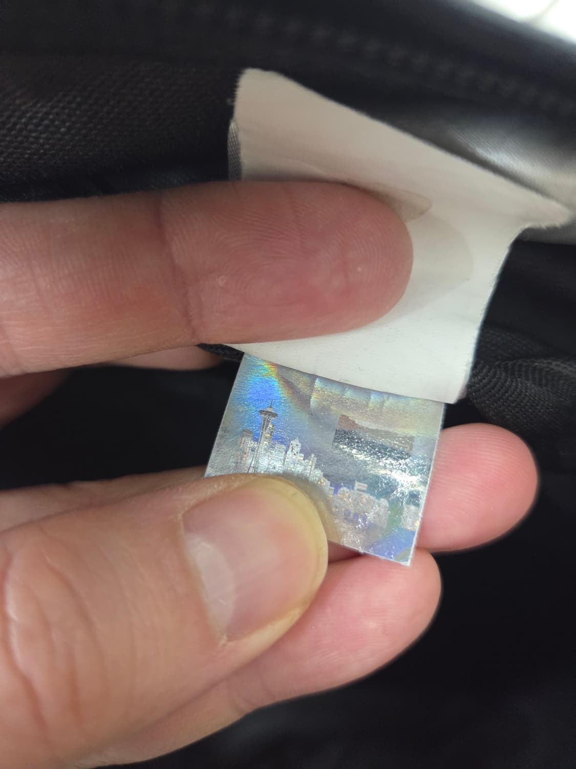 잔스포츠 예일 콜라보 한정판 백팩 상품이미지8