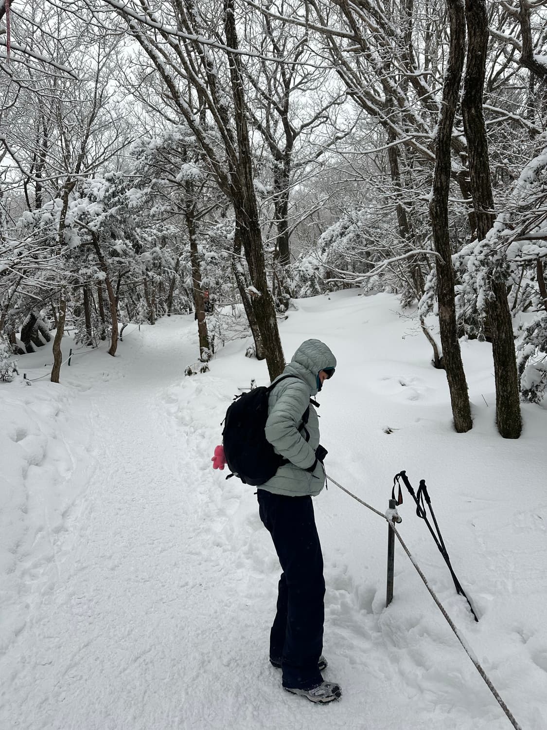 여성용 시에라디자인 뮤어 경량 구스다운 L 상품이미지1