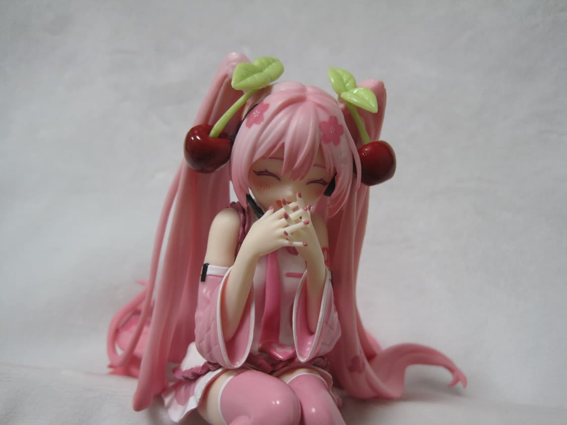 익서스95 작례 상품이미지6