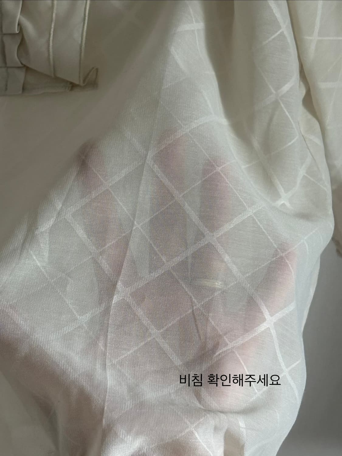 베이지 시스루 블라우스 상품이미지3