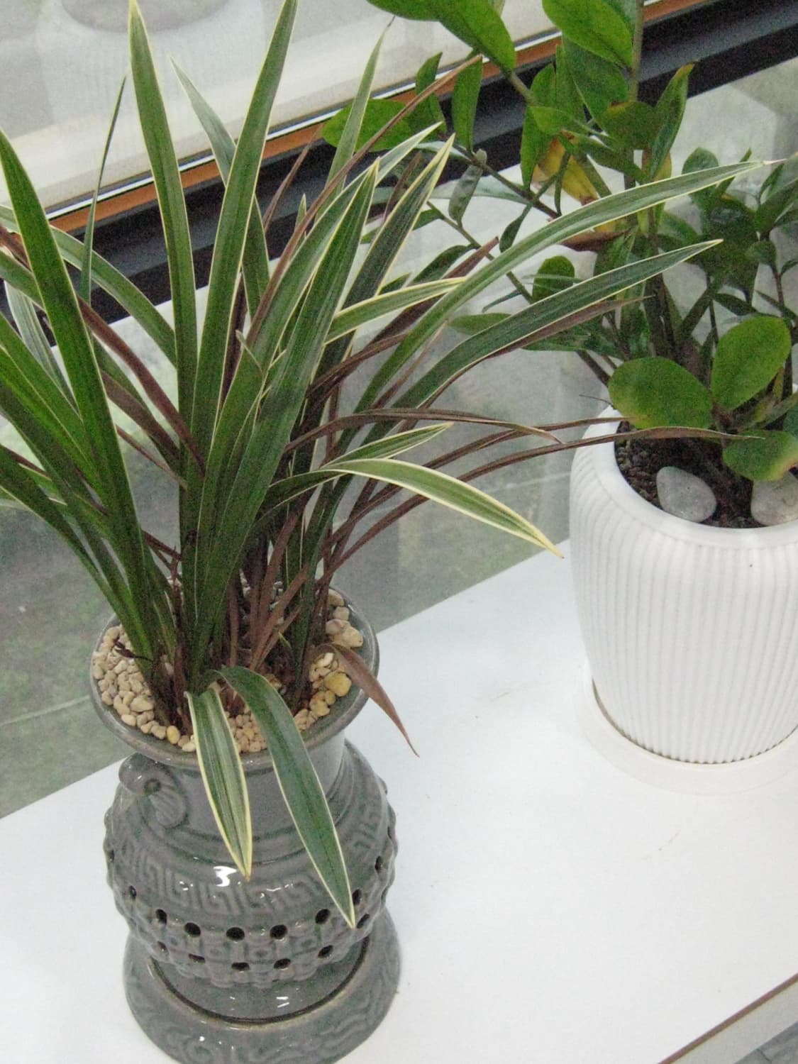 민트) 캐논 Ixus900ti (Ixy1000) 디지털 카메라 상품이미지10