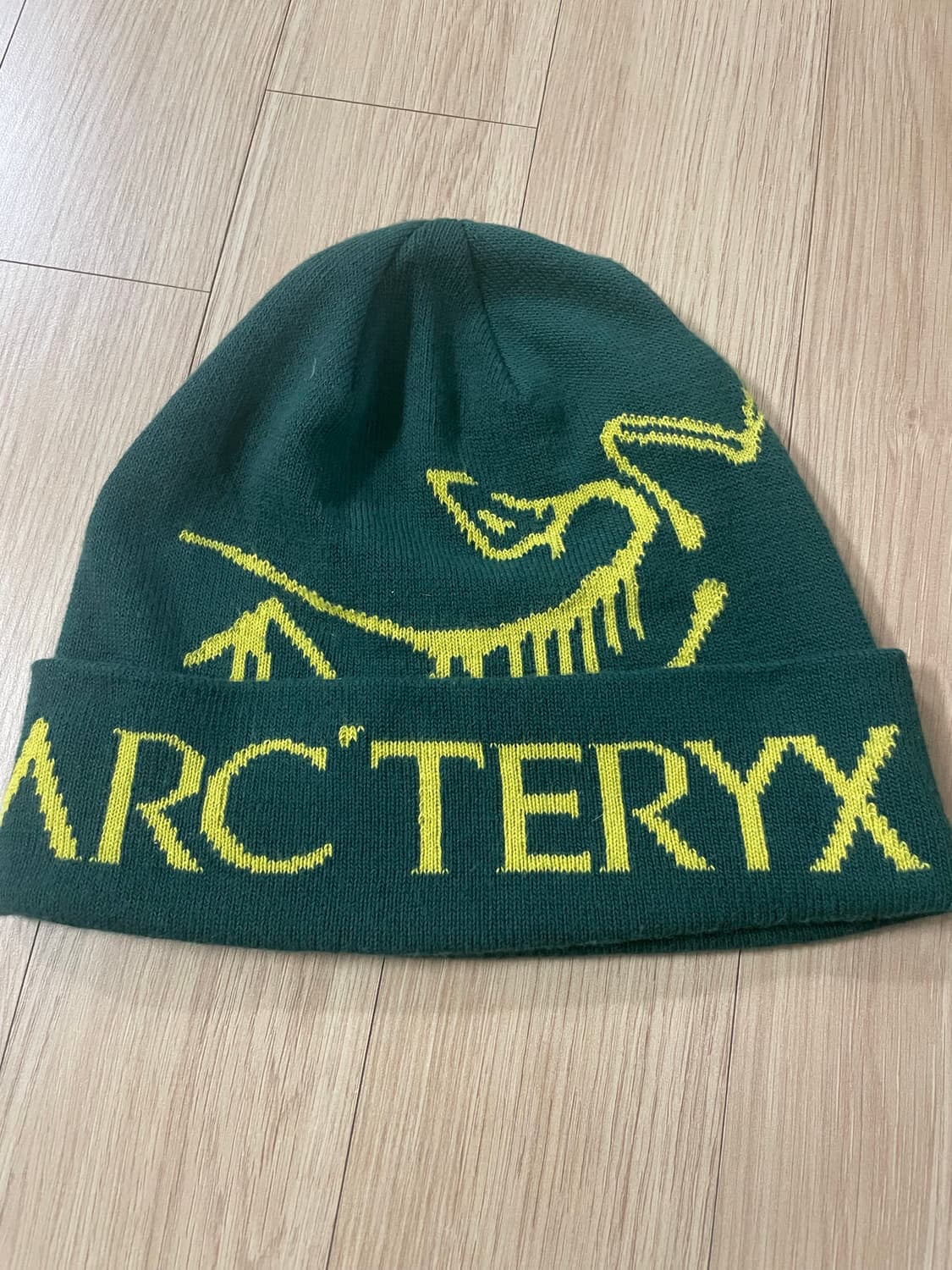 아크테릭스 비니 상품이미지1